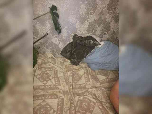 adult live cam Hotpepper-Sweetpepper