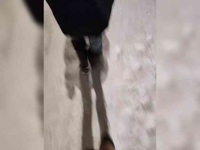 Hotpepper-Sweetpepper