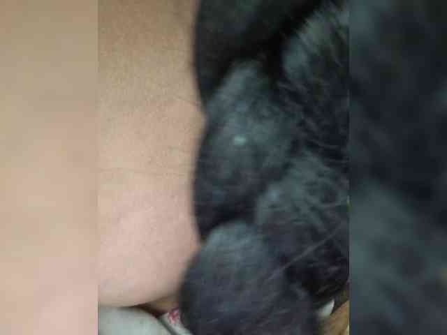 Hotpepper-Sweetpepper webcam
