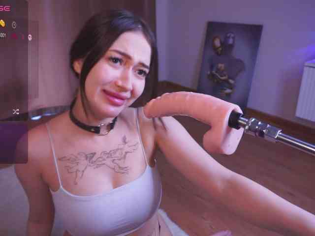 driveascrazy webcam