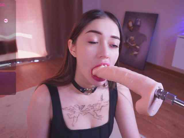 driveascrazy webcam