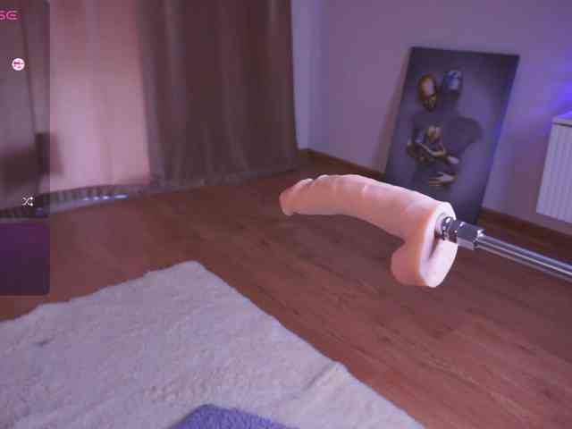 driveascrazy webcam