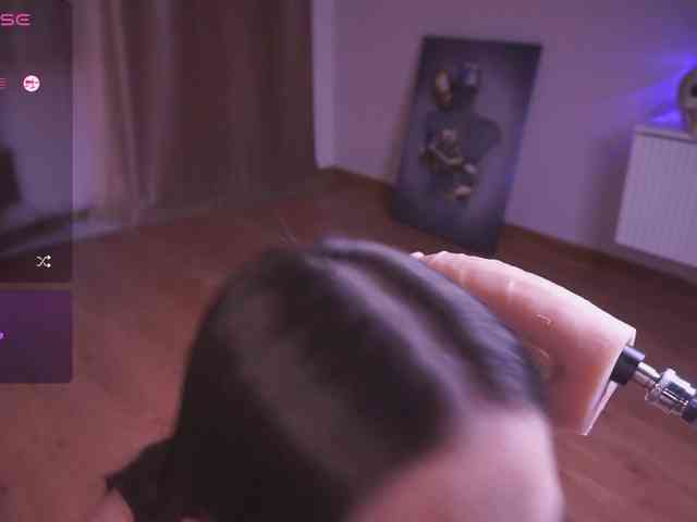driveascrazy webcam