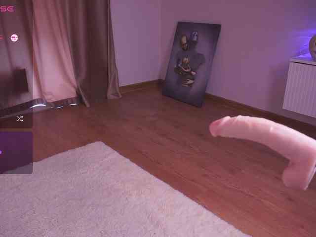 driveascrazy webcam