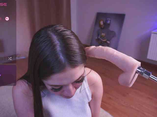 driveascrazy webcam