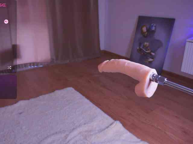 driveascrazy webcam