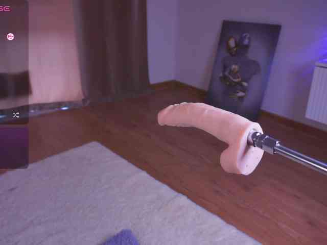 driveascrazy webcam