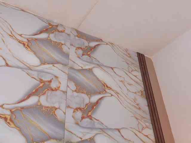 AhviEbony Live Webcam on BongaCams