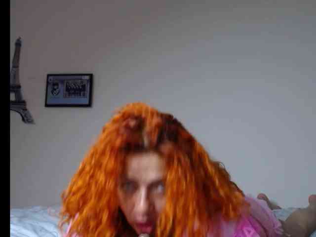 majobarraza majobarraza