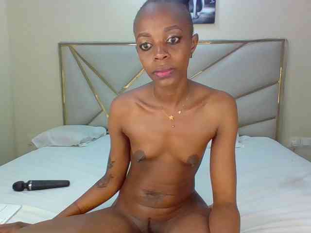 Dripp254 webcam