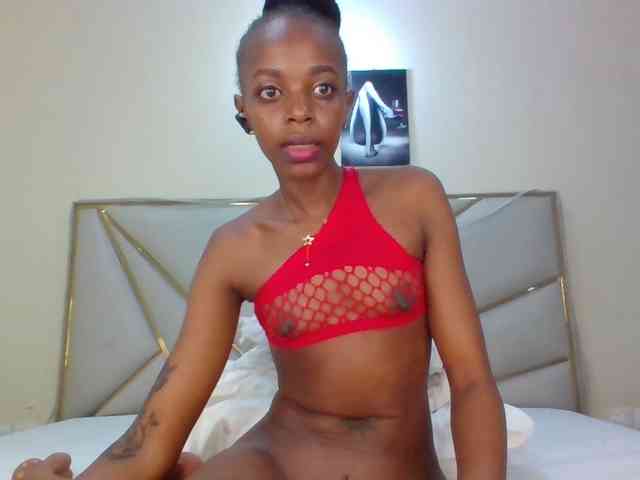 Dripp254 webcam