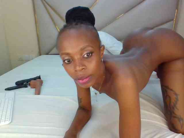 Dripp254 webcam