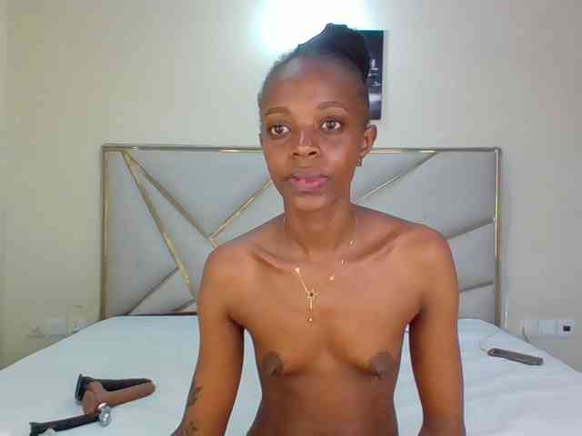 Dripp254 webcam