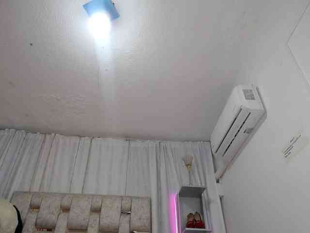 paulina-evans webcam