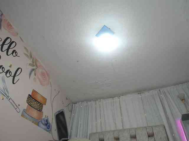 paulina-evans webcam