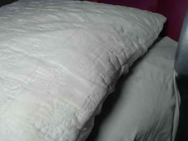 paulina-evans webcam