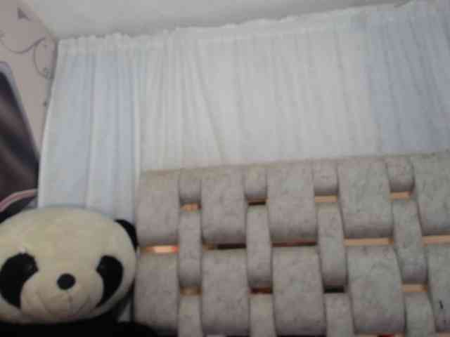 paulina-evans webcam