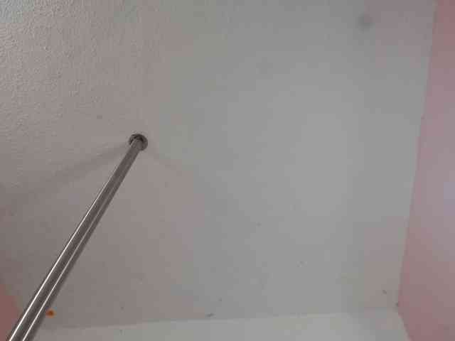 paulina-evans webcam