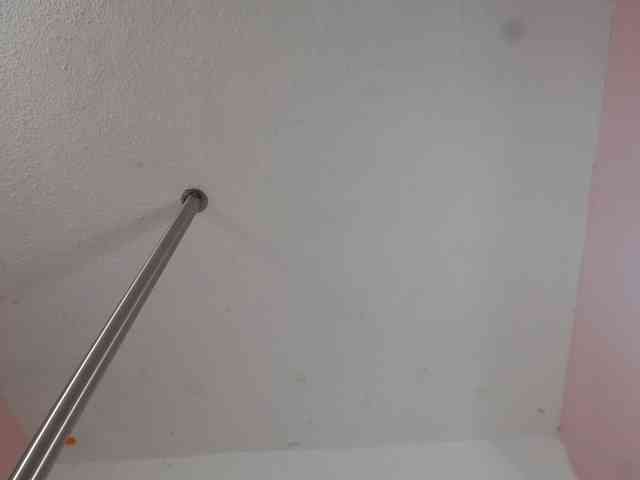 paulina-evans webcam