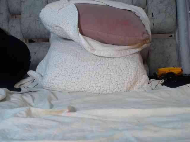 paulina-evans Live Webcam on BongaCams