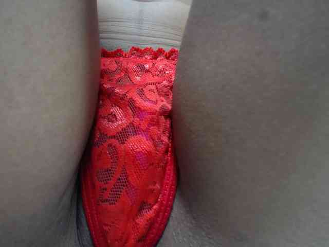 paulina-evans webcam
