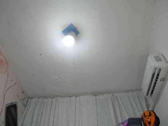 paulina-evans webcam