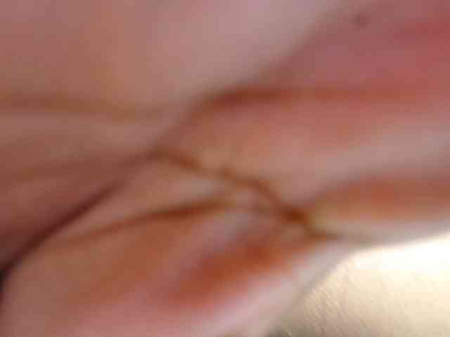 paulina-evans webcam