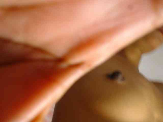 paulina-evans webcam