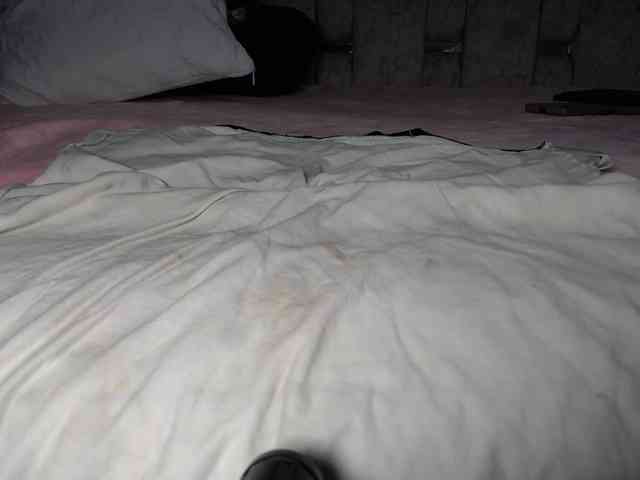 paulina-evans webcam