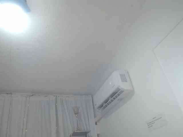 paulina-evans webcam