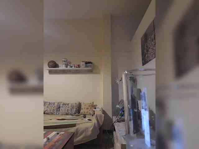jasminbunny19 webcam