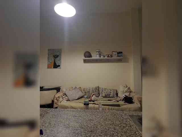 jasminbunny19 webcam