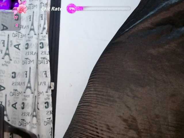 aliceparcket's BongaCams show and profile