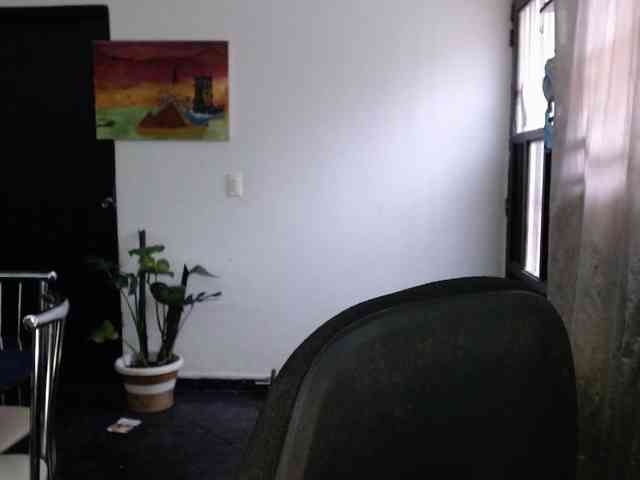 aliceparcket webcam