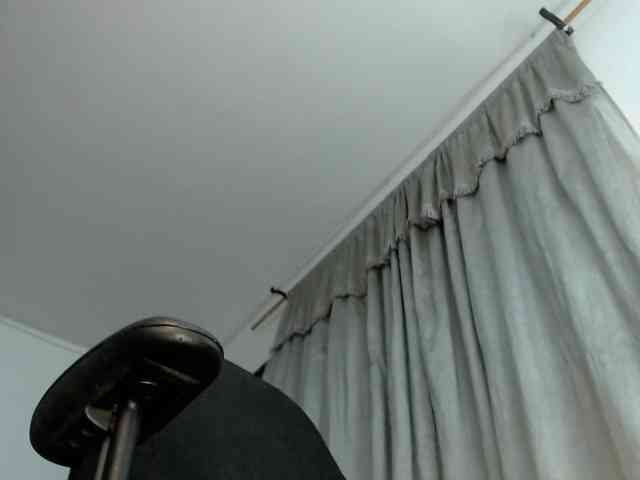 aliceparcket webcam