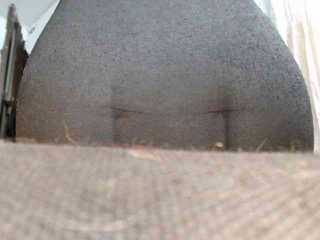 aliceparcket webcam