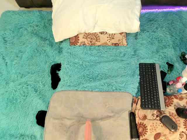 Eilin-clio webcam
