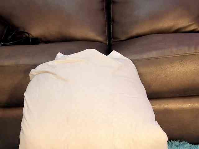 Eilin-clio webcam
