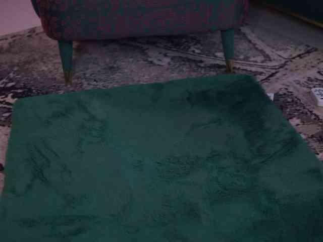 RedLara webcam