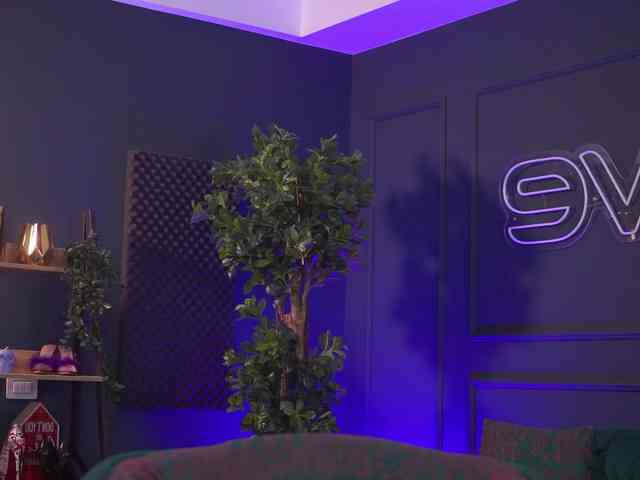 RedLara webcam
