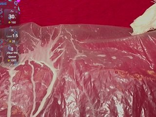 queensquirtluna Porn Show