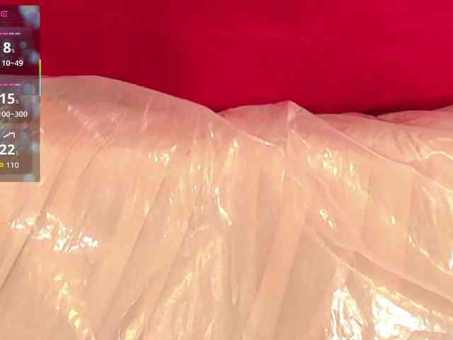 queensquirtluna webcam