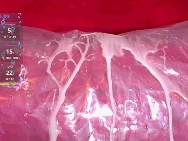 queensquirtluna webcam