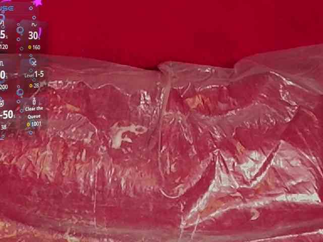 queensquirtluna webcam