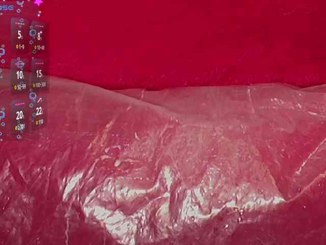 queensquirtluna webcam