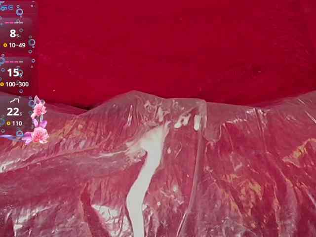 queensquirtluna webcam