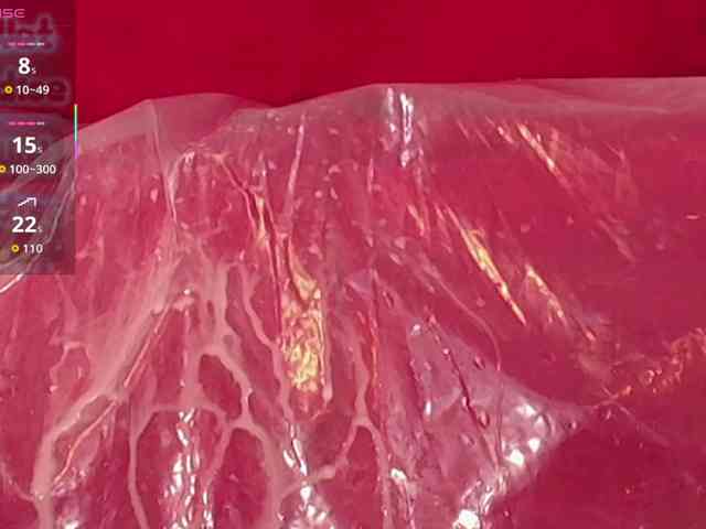 queensquirtluna webcam