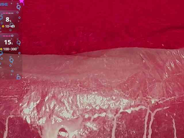 queensquirtluna webcam