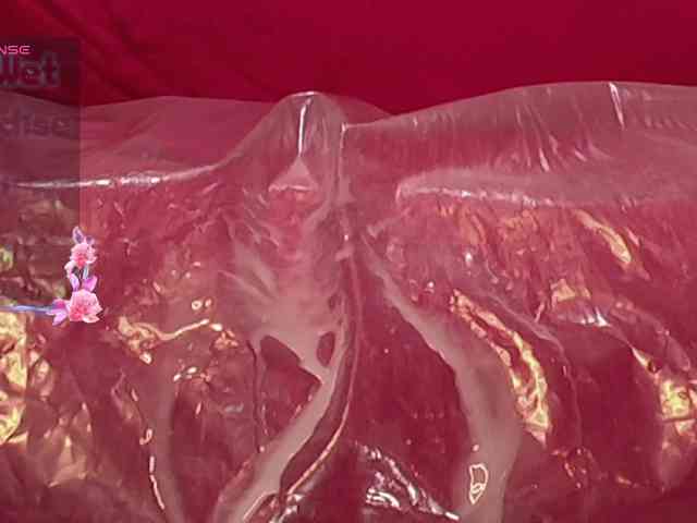 queensquirtluna queensquirtluna