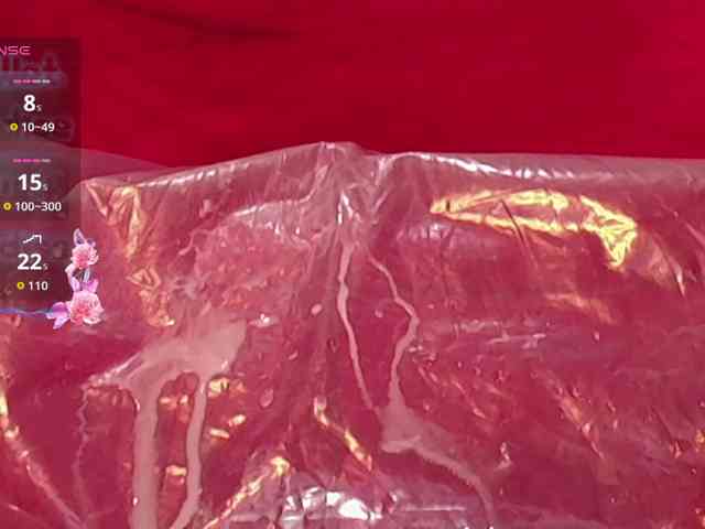 queensquirtluna webcam